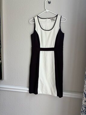 LOFT Brown and White Sleeveless Colorblock Mini Dress